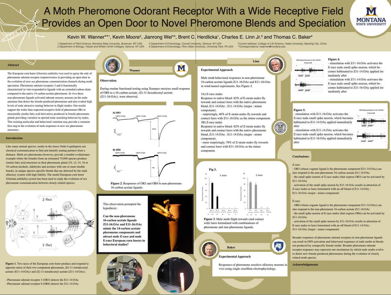 The original poster draft.