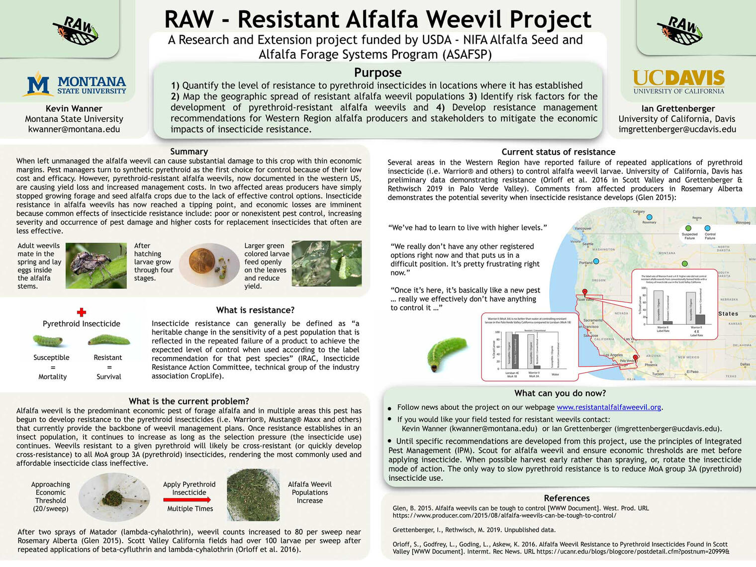 RAW - Resistent Alfalfa Weevil Project Poster