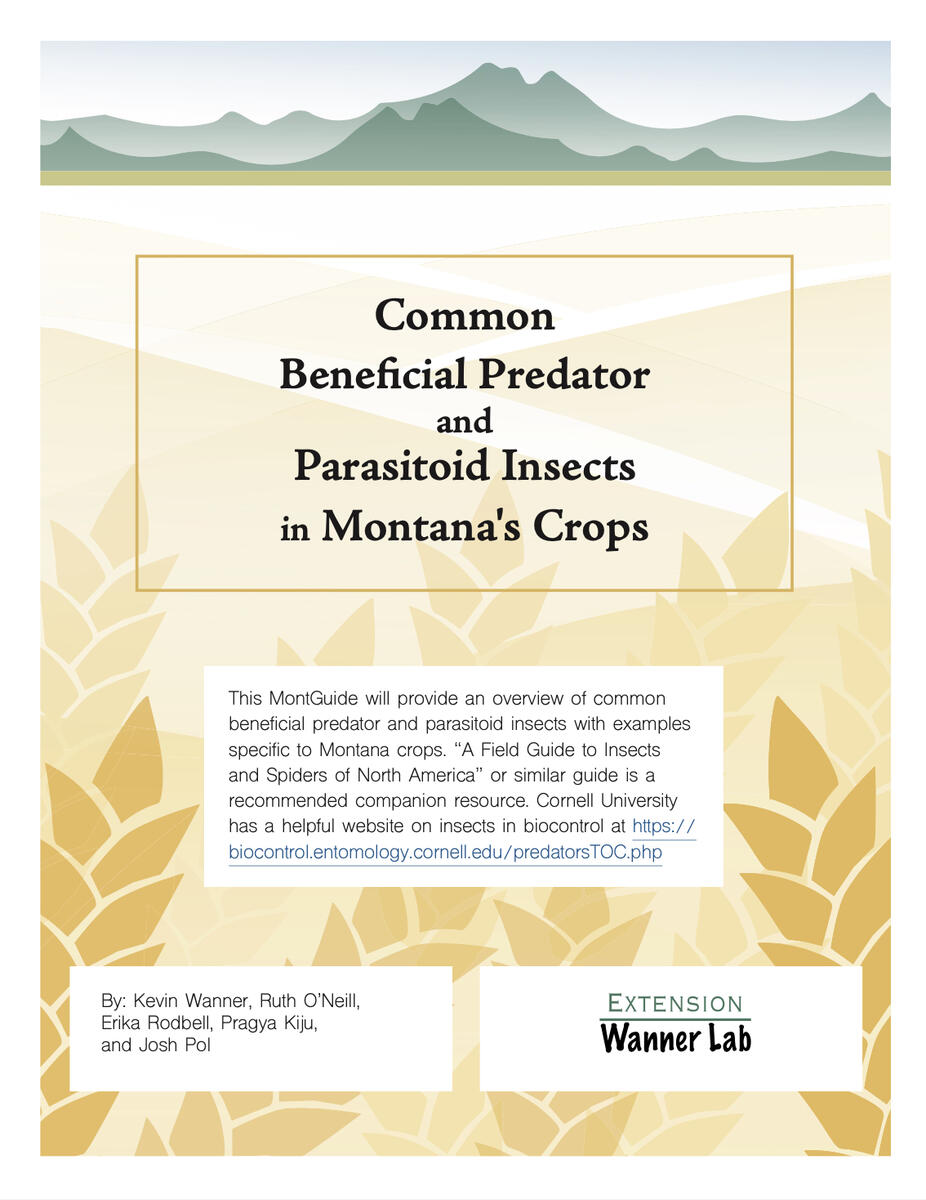 The Common Beneficial Predator and Parasitoid Insects in Montana's Crops guide's cover.