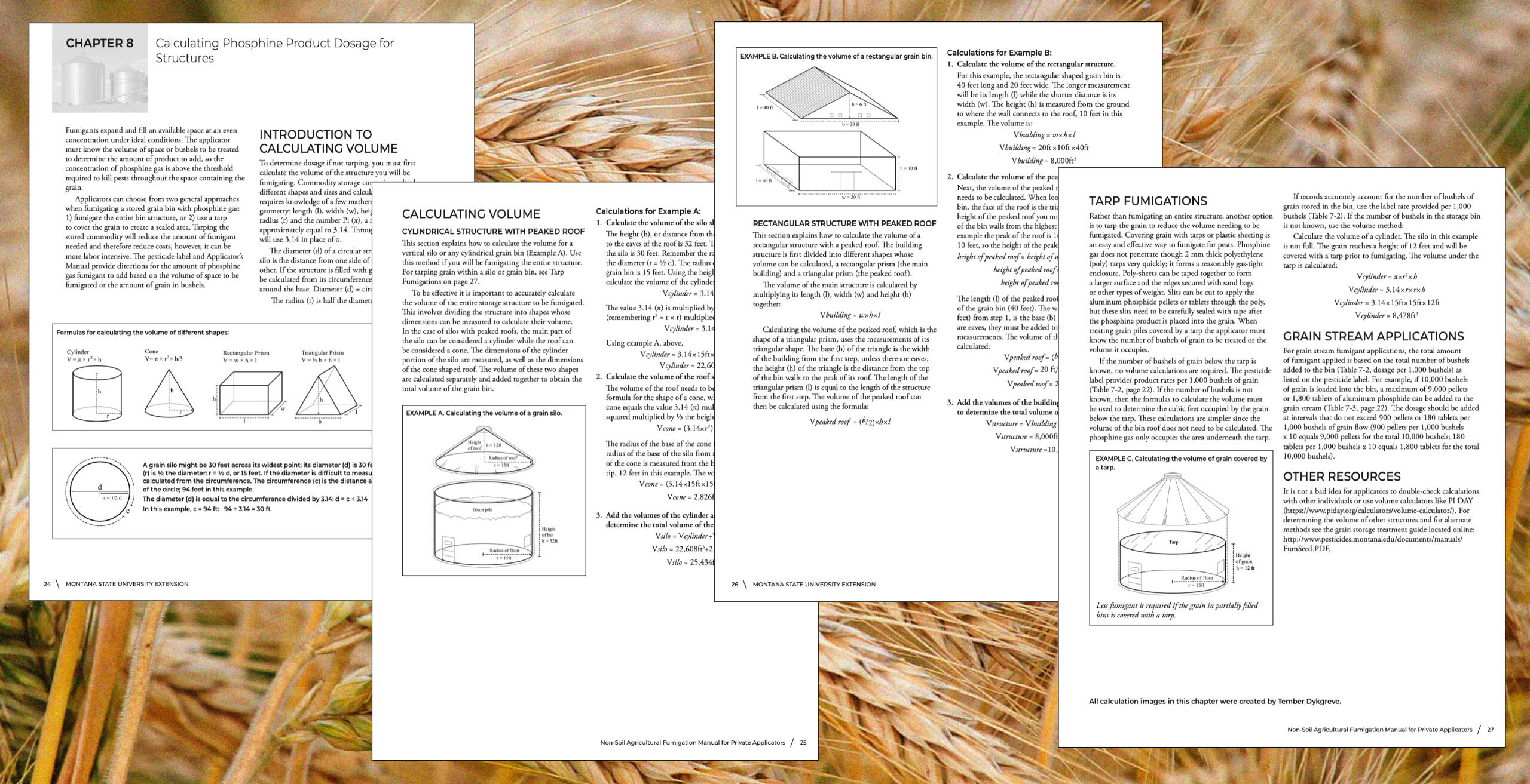 Layout of the pdf pages where the final illustrations were used.