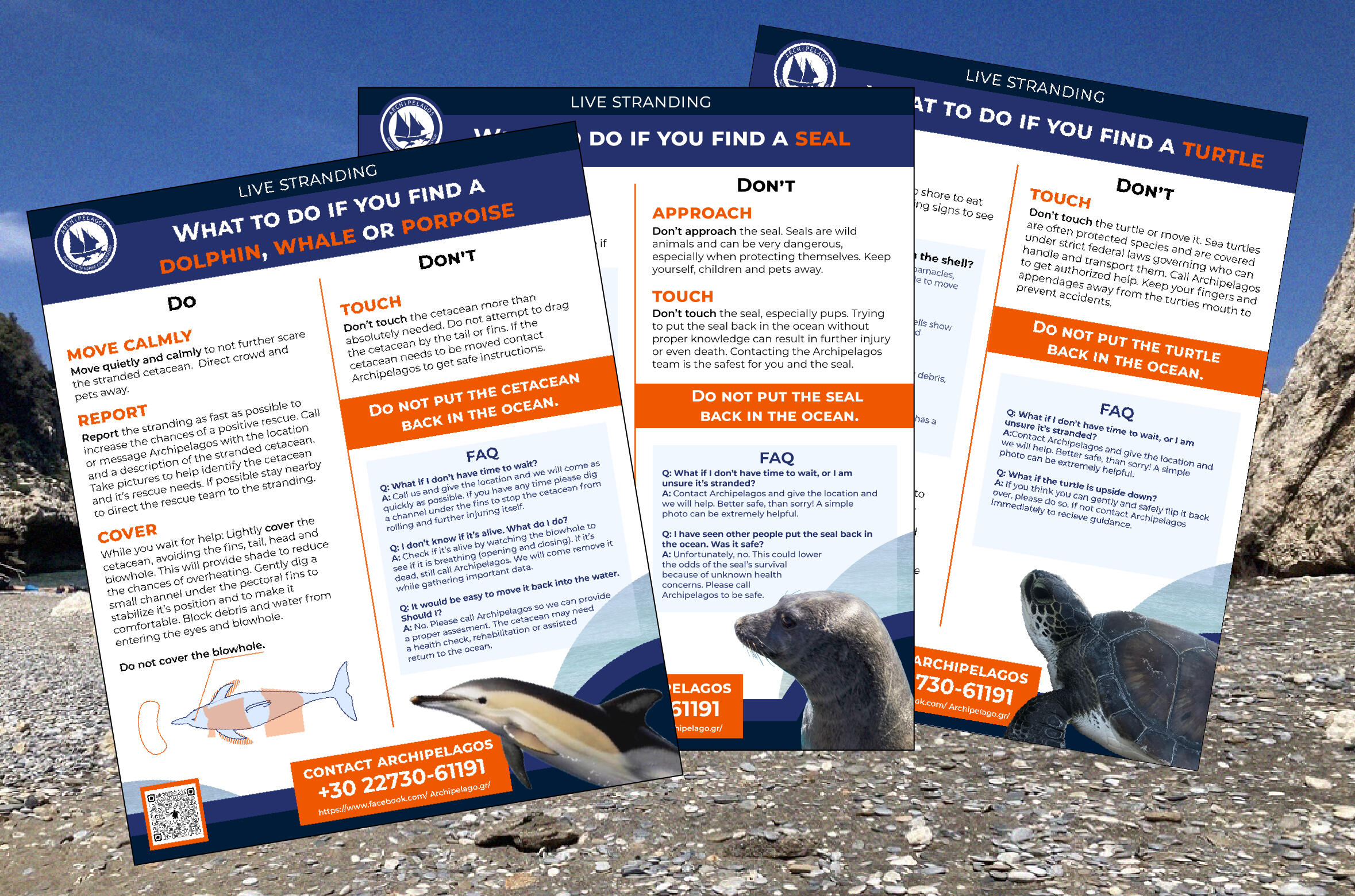 Three posters on a background of a rock beach.