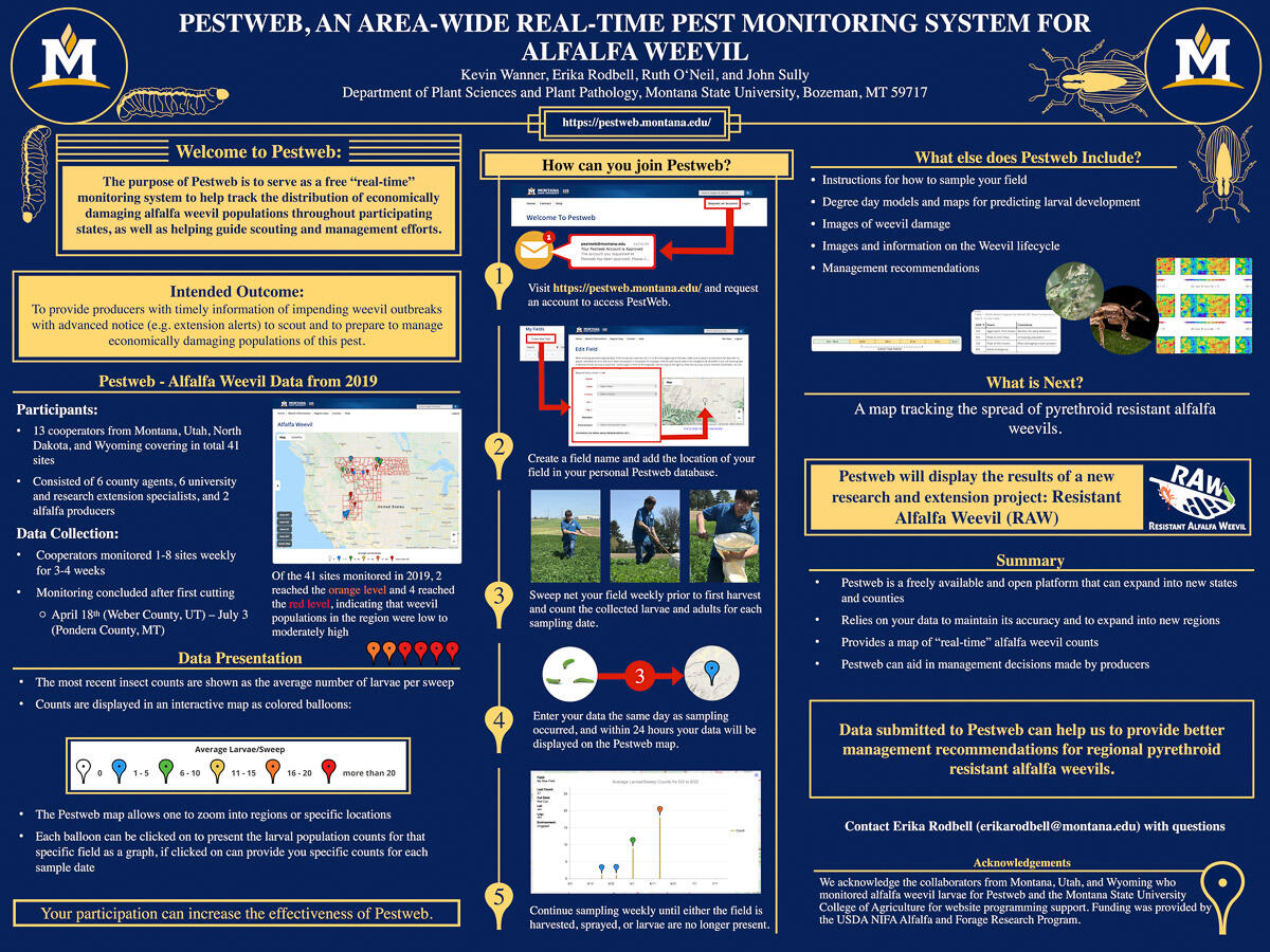 Pestweb, An Area-Wide Real-Time Pest Monitoring System for Alfalfa Weevil