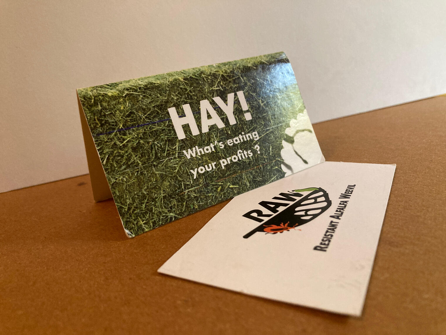 The final printed business cards.